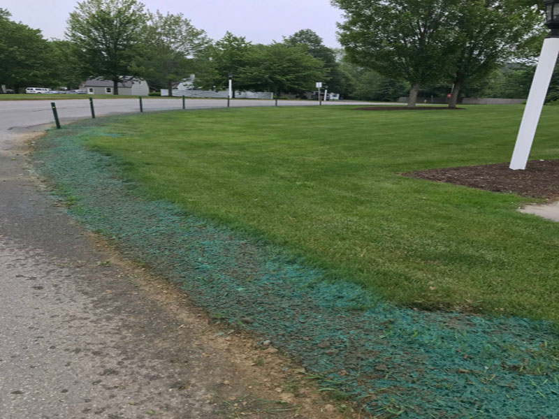 Hydroseeding