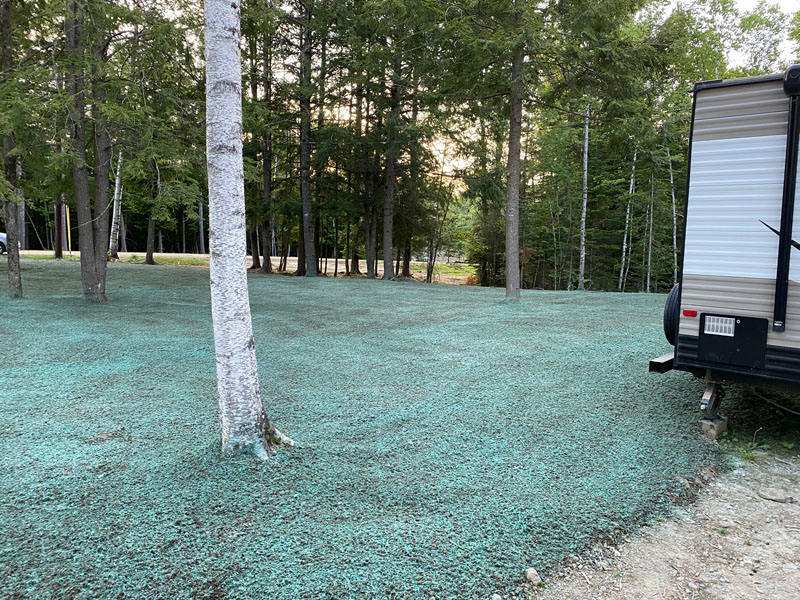 Hydroseeding