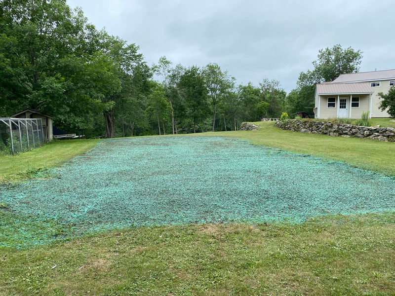 Hydroseeding