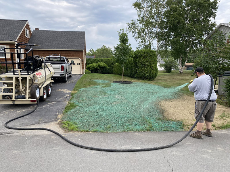 Hydroseeding