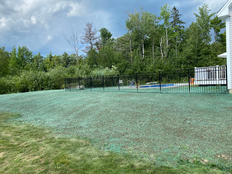 Hydroseeding