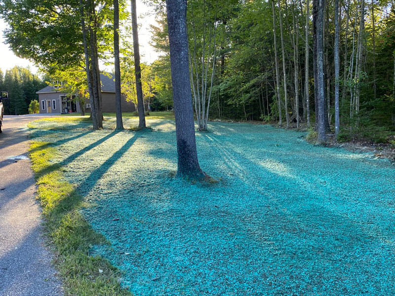 Hydroseeding