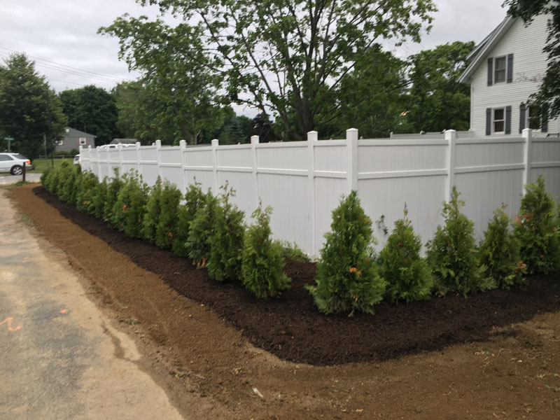 Landscaping