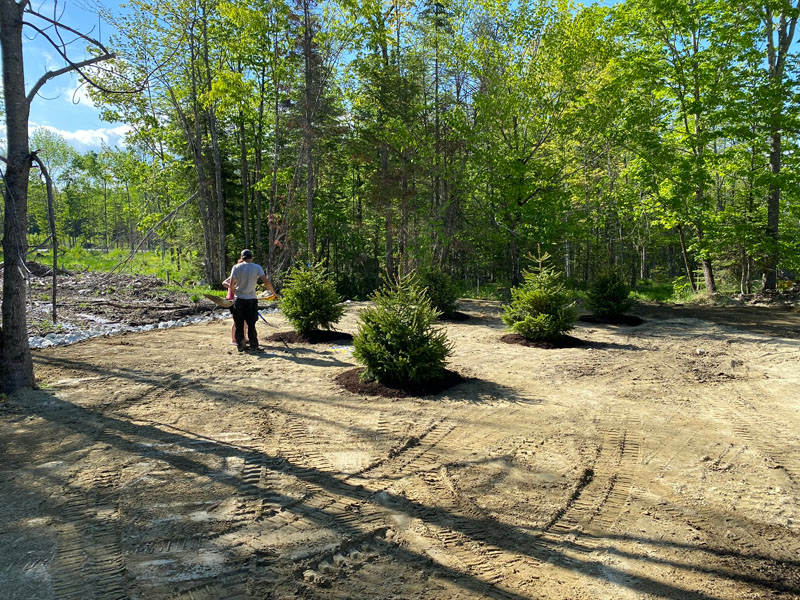 Landscaping