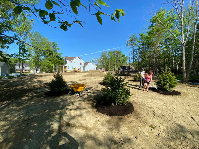 Landscaping