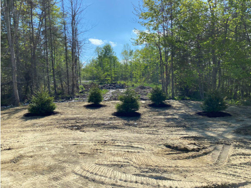 Landscaping
