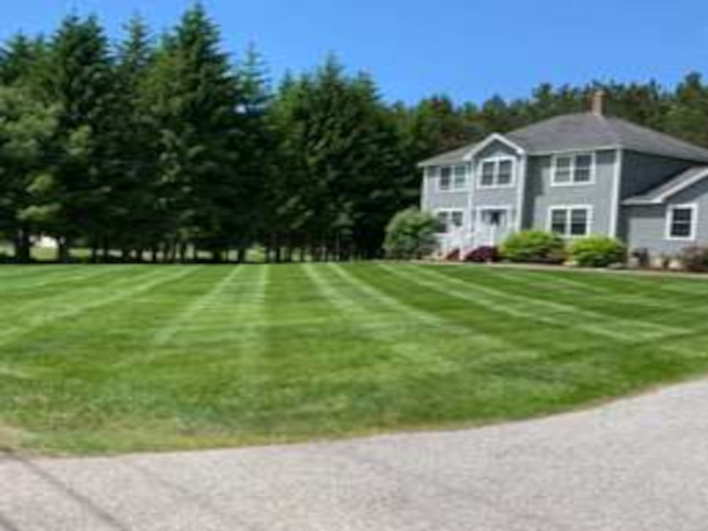 lawn Mowing #7
