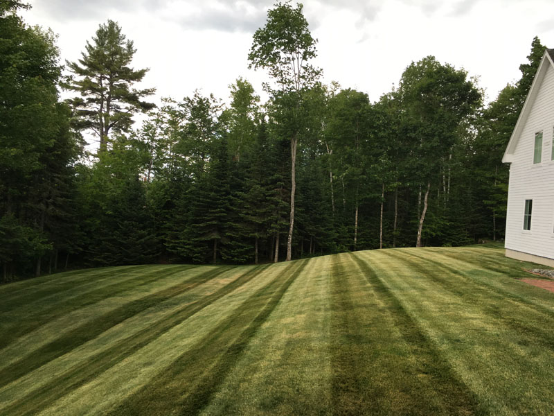 lawn Mowing #9