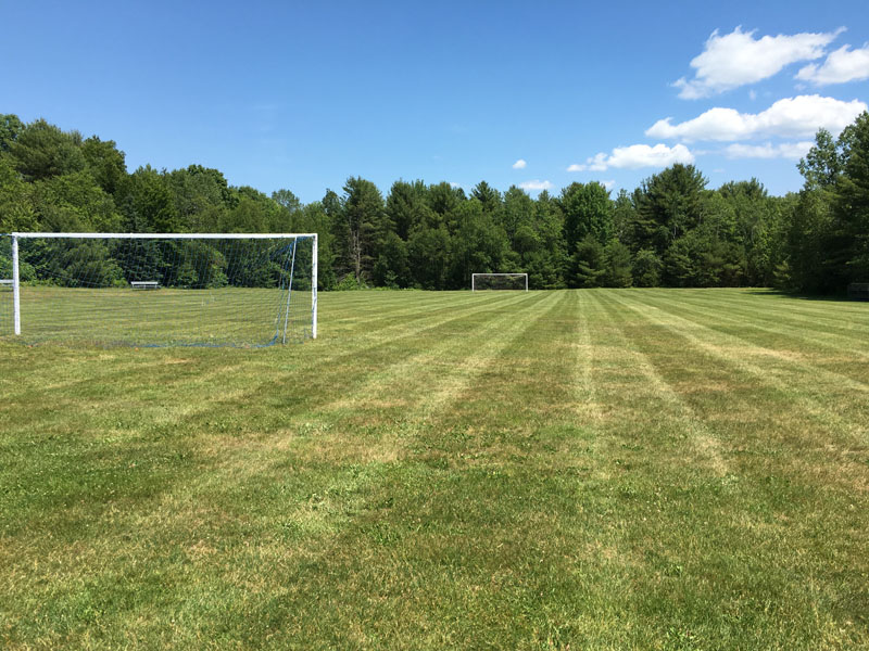 lawn Mowing #8
