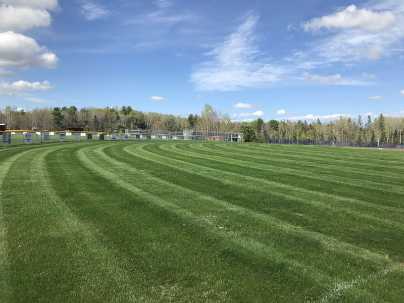 lawn Mowing