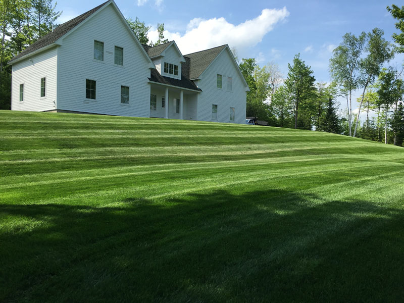 lawn Mowing