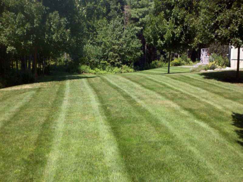 lawn Mowing
